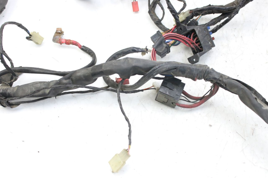 photo de CABLEADO PIAGGIO X9 EVOLUTION 125 (2003 - 2007)