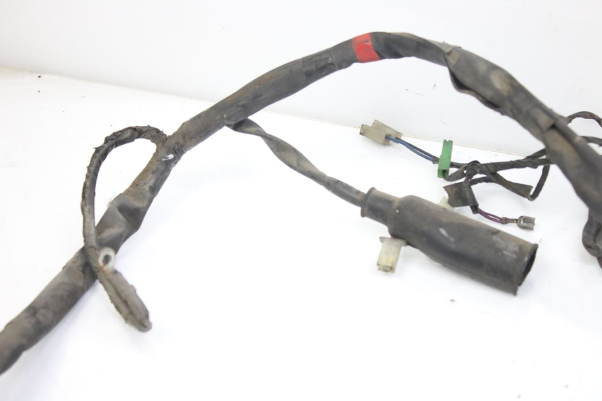 photo de CABLEADO PIAGGIO X9 EVOLUTION 125 (2003 - 2007)