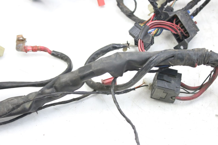 photo de CABLEADO PIAGGIO X9 EVOLUTION 125 (2003 - 2007)