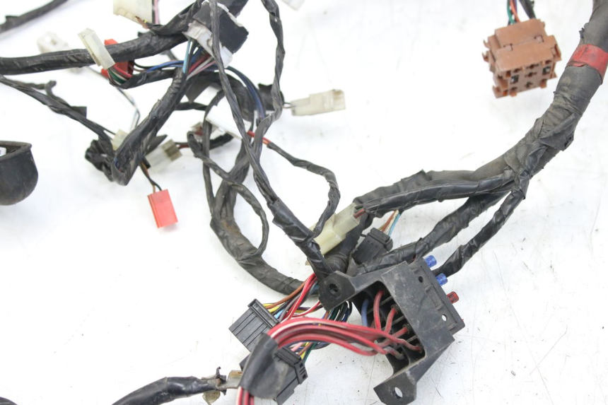 photo de CABLEADO PIAGGIO X9 EVOLUTION 125 (2003 - 2007)