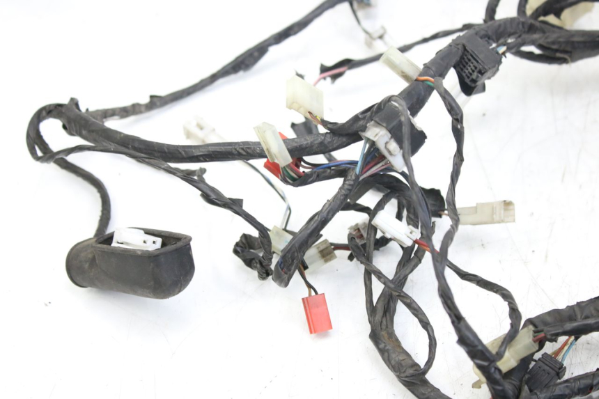 photo de CABLEADO PIAGGIO X9 EVOLUTION 125 (2003 - 2007)