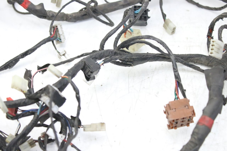 photo de CABLEADO PIAGGIO X9 EVOLUTION 125 (2003 - 2007)