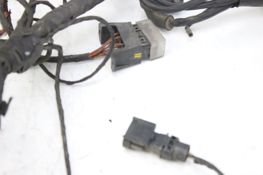 photo de CABLEADO PIAGGIO X9 EVOLUTION 125 (2003 - 2007)