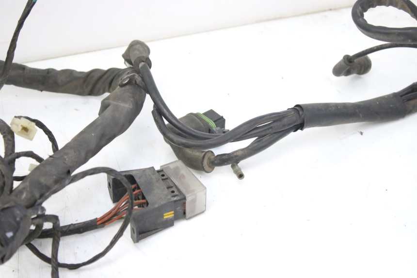 photo de CABLEADO PIAGGIO X9 EVOLUTION 125 (2003 - 2007)