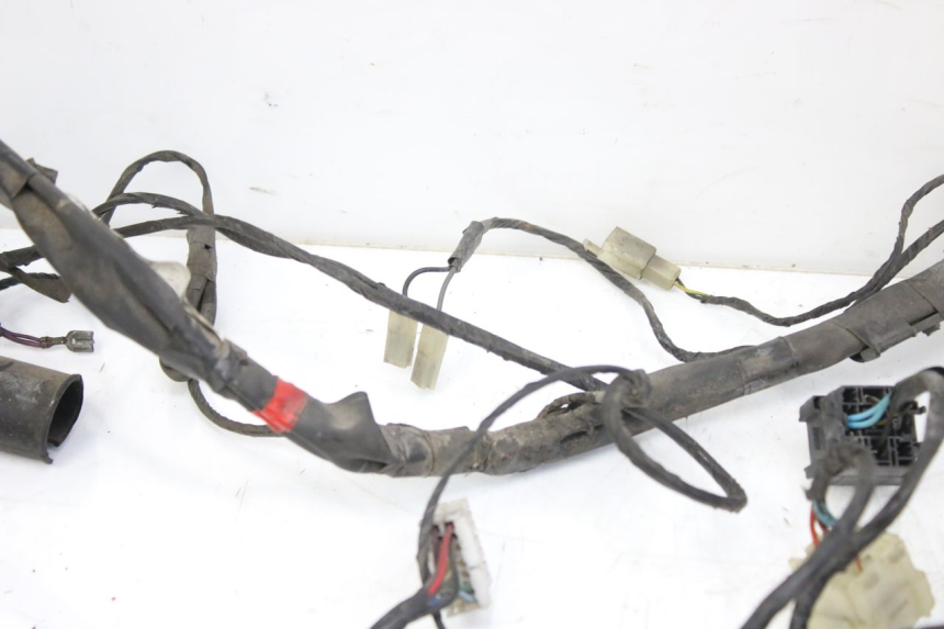 photo de CABLEADO PIAGGIO X9 EVOLUTION 125 (2003 - 2007)