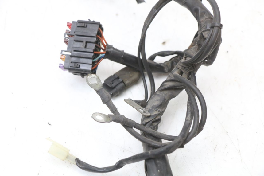 photo de CABLEADO PIAGGIO XEVO - X EVO 125 (2007 - 2016)