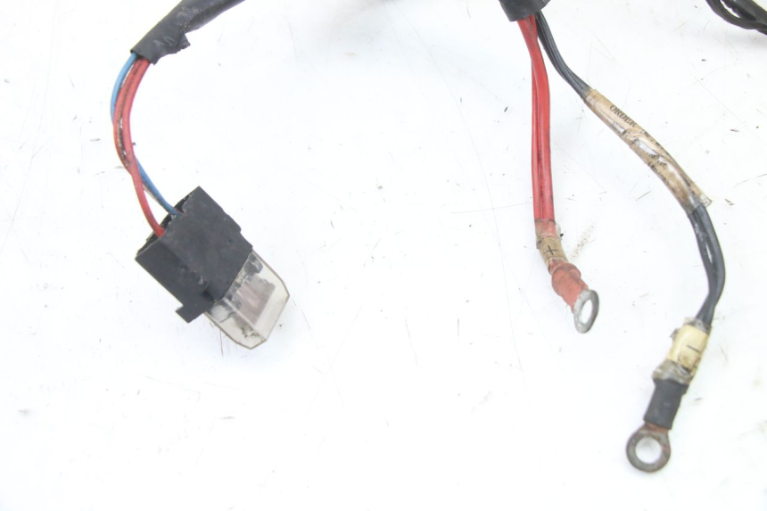 photo de CABLEADO PIAGGIO ZIP 2T 50 (2009 - 2019)