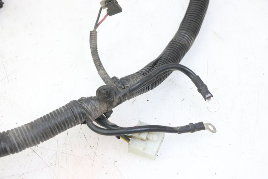 photo de CABLEADO PIAGGIO ZIP 4T 50 (2018 - 2020)