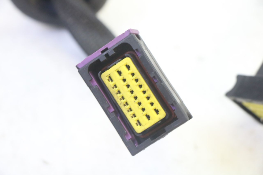 photo de CABLEADO LIGIER PULSE 3 1 (2014 - 2020) - Otra perspectiva