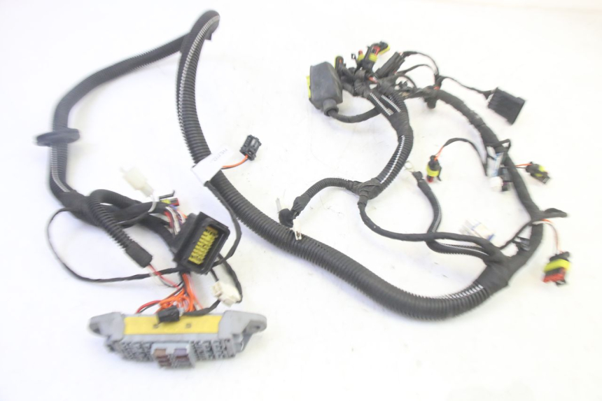 photo de CABLEADO LIGIER PULSE 3 1 (2014 - 2020) - Vista general del producto
