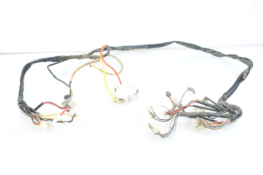 photo de CABLEADO DOLPHIN PYGMY 1 (2020 - 2024)