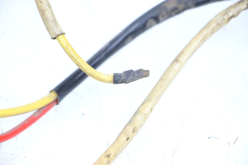 photo de CABLEADO DOLPHIN PYGMY 1 (2020 - 2024)
