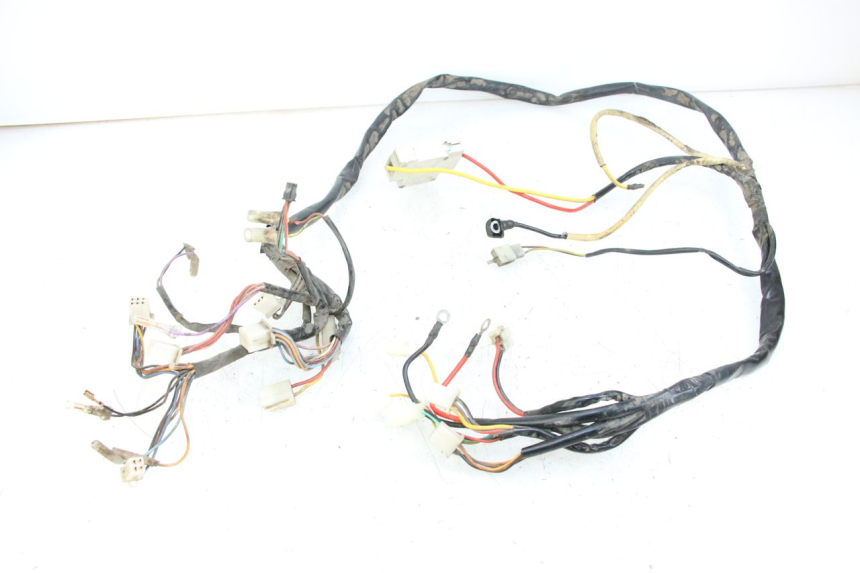 photo de CABLEADO DOLPHIN PYGMY 1 (2020 - 2024)