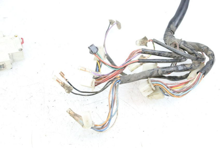 photo de CABLEADO DOLPHIN PYGMY 1 (2020 - 2024)