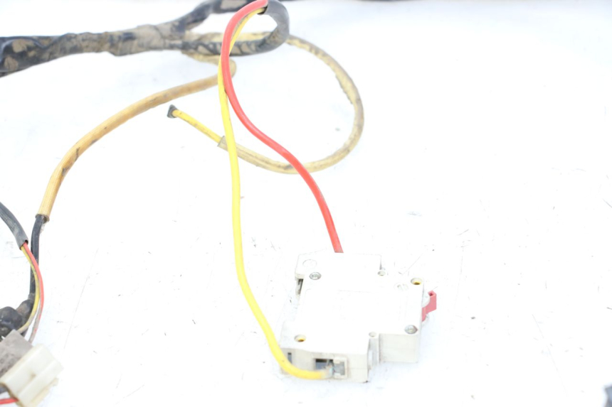 photo de CABLEADO DOLPHIN PYGMY 1 (2020 - 2024)