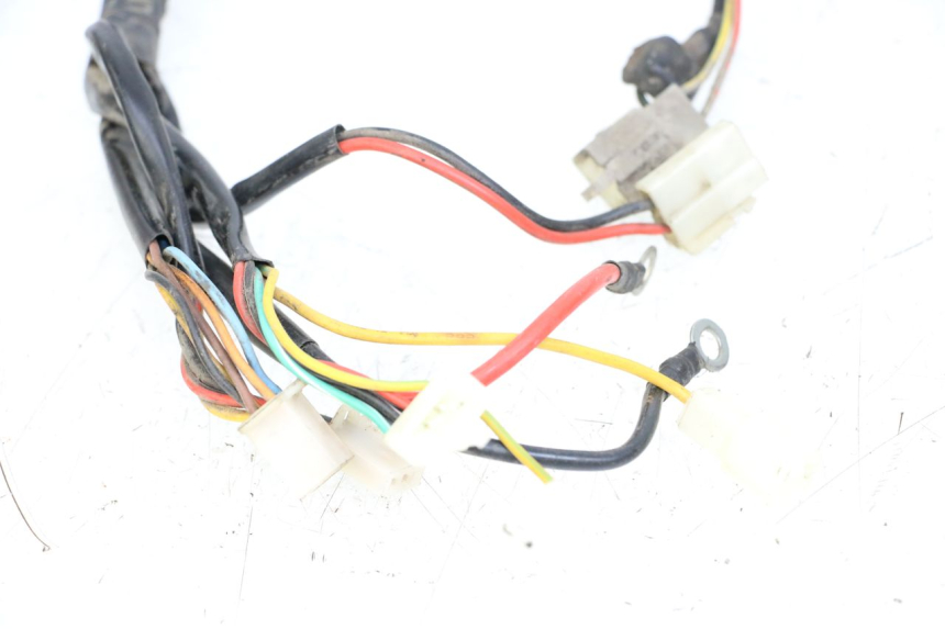 photo de CABLEADO DOLPHIN PYGMY 1 (2020 - 2024)