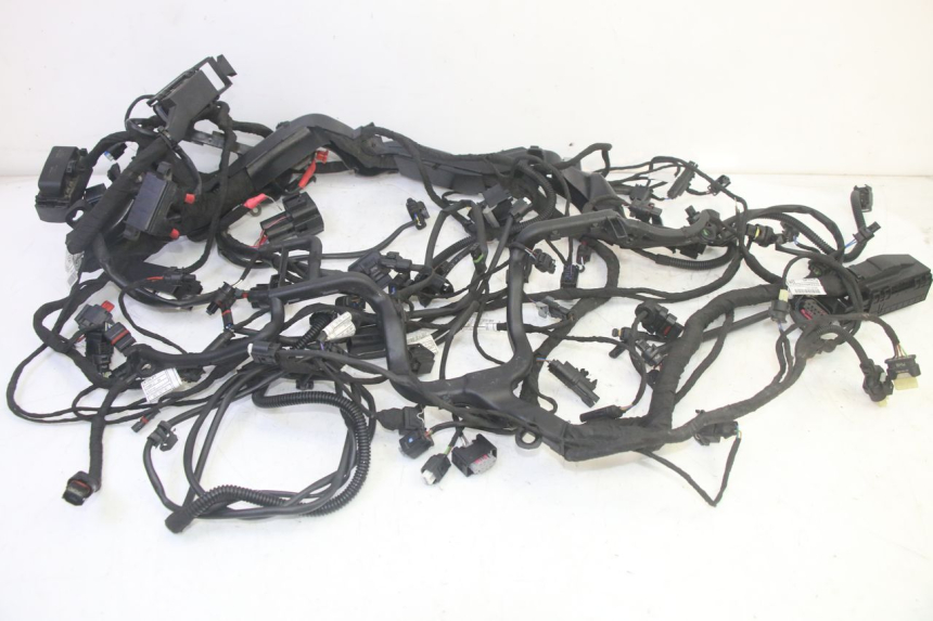 photo de CABLEADO BMW R GS 1250 (2021 - 2024) - Vista principal