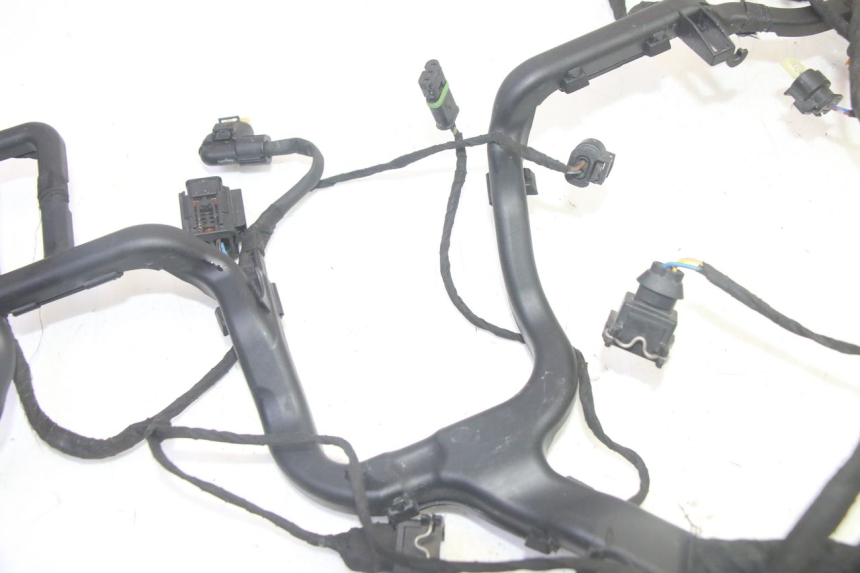 photo de CABLEADO BMW R GS 1250 (2021 - 2024) - Otra vista del artículo