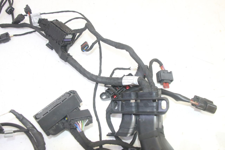 photo de CABLEADO BMW R GS 1250 (2021 - 2024) - Zoom estado de uso