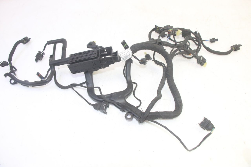 photo de CABLEADO BMW R GS 1250 (2021 - 2024) - Recambio usado revisado