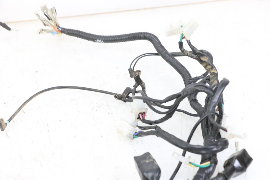 photo de CABLEADO REGAL RAPTOR RAXTER 2 125 (2007 - 2015)