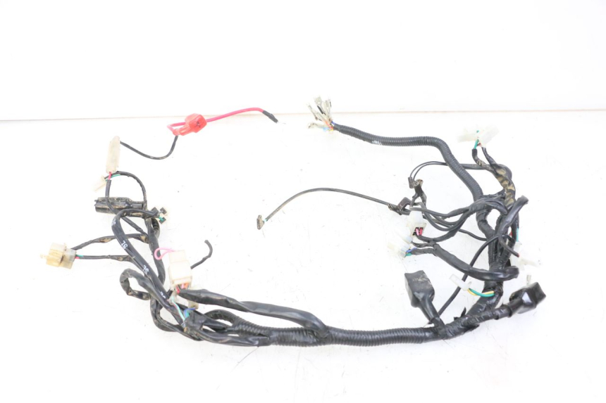 photo de CABLEADO REGAL RAPTOR RAXTER 2 125 (2007 - 2015)