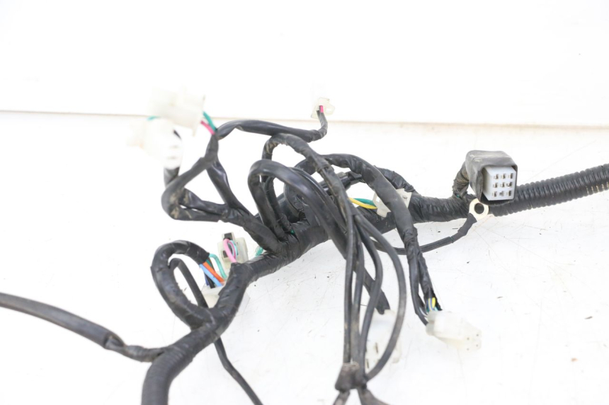 photo de CABLEADO REGAL RAPTOR RAXTER 2 125 (2007 - 2015)