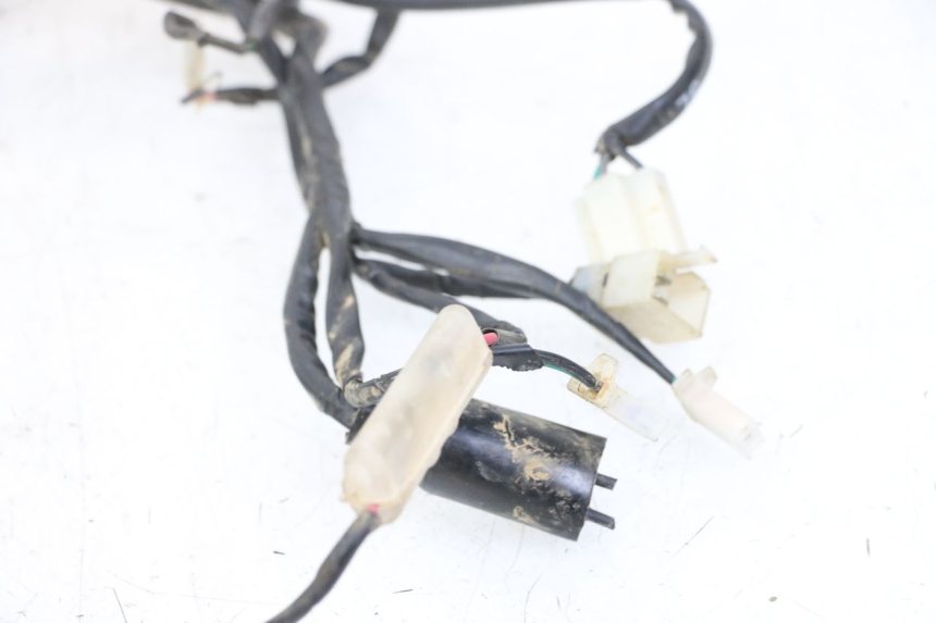 photo de CABLEADO REGAL RAPTOR RAXTER 2 125 (2007 - 2015)