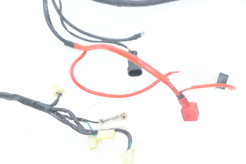 photo de CABLEADO RIDE CLASSIC 2T 50 (2014 - 2022)