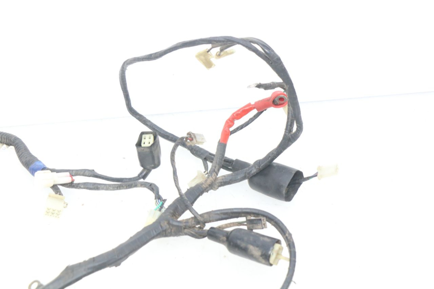 photo de CABLEADO RIDE CLASSIC 2T 50 (2014 - 2022)