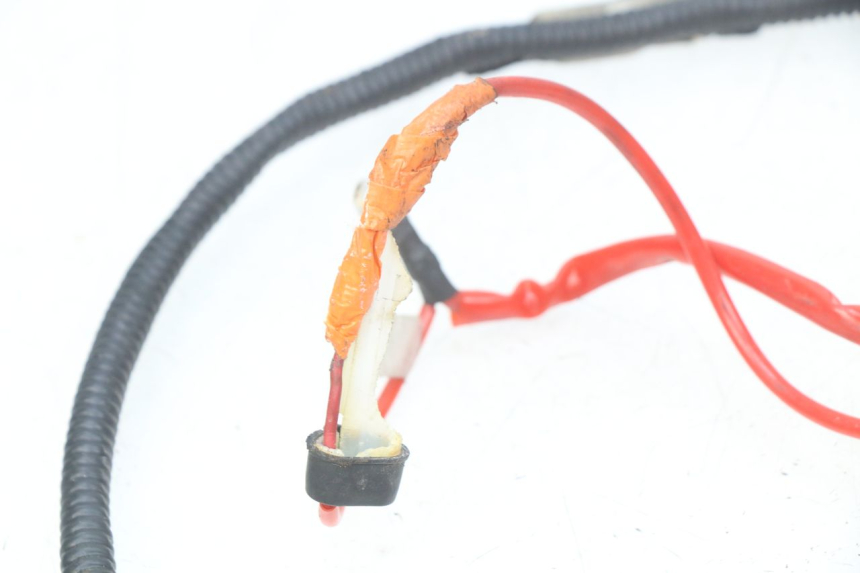 photo de CABLEADO RIDE CLASSIC 2T 50 (2014 - 2022)