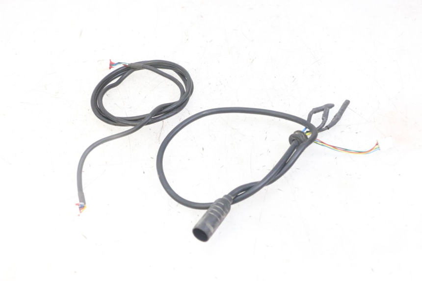 photo de CABLEADO PUNK ELECTRIC RIDER 1