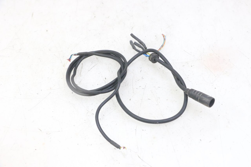 photo de CABLEADO PUNK ELECTRIC RIDER 1
