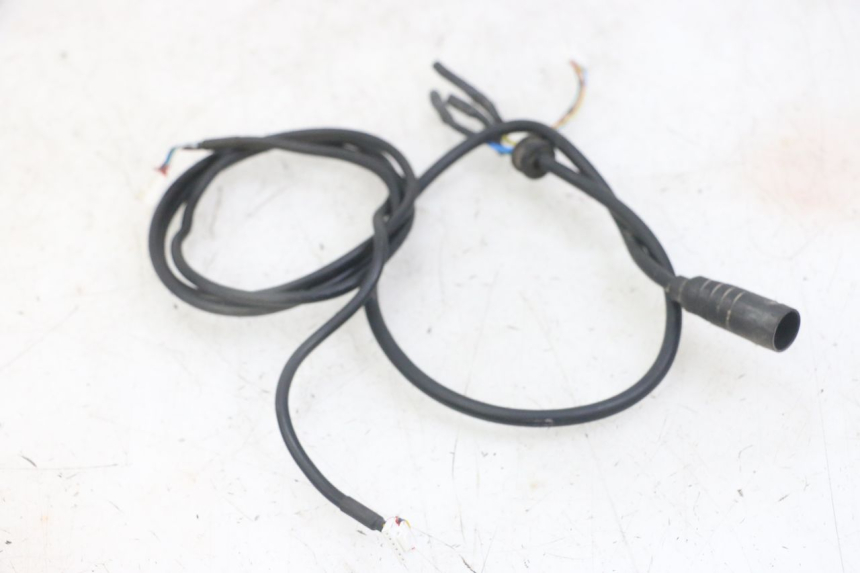 photo de CABLEADO PUNK ELECTRIC RIDER 1