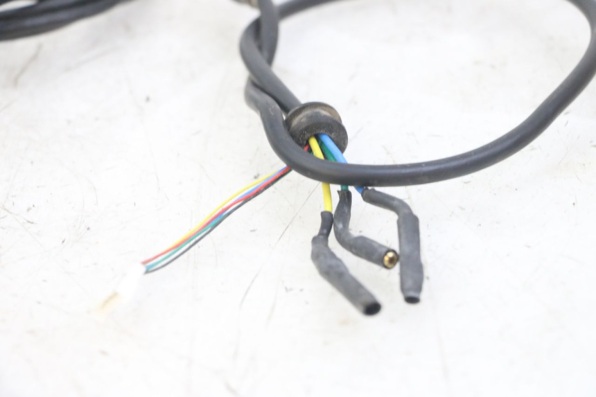 photo de CABLEADO PUNK ELECTRIC RIDER 1