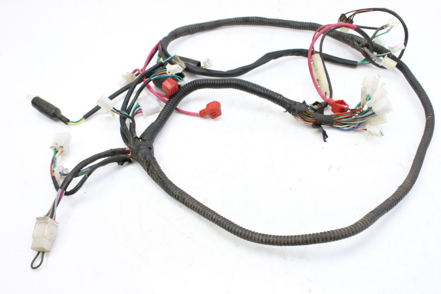 photo de CABLEADO TNT MOTOR ROMA 10' 2T 50 (2011 - 2018)