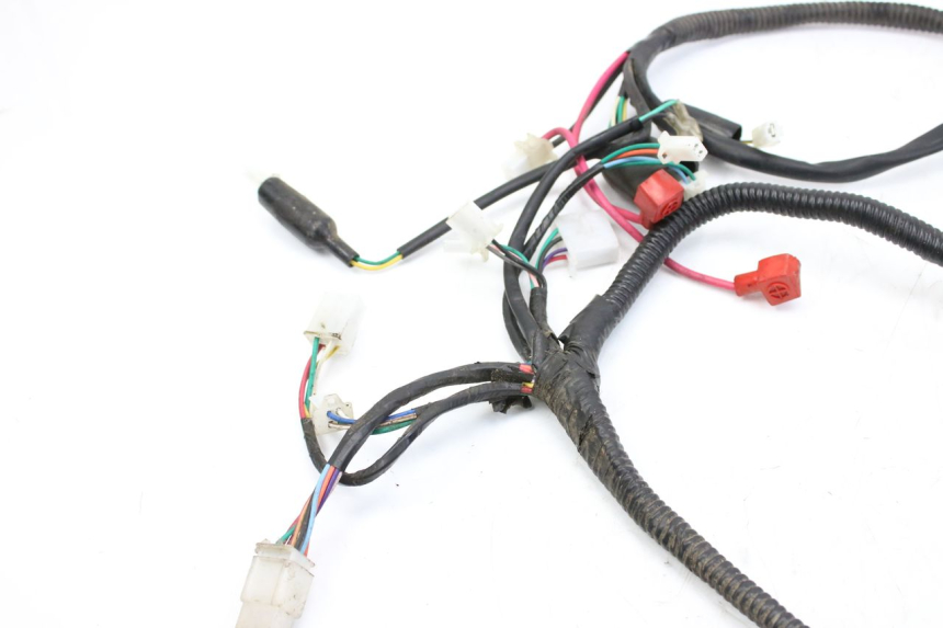 photo de CABLEADO TNT MOTOR ROMA 10' 2T 50 (2011 - 2018)