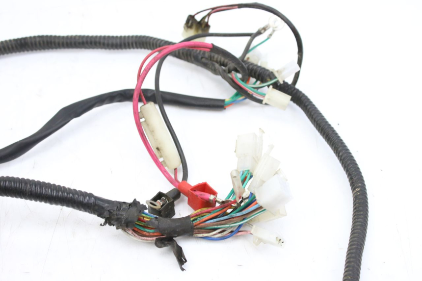 photo de CABLEADO TNT MOTOR ROMA 10' 2T 50 (2011 - 2018)