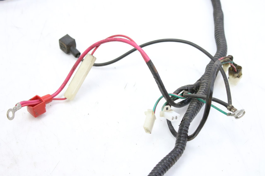 photo de CABLEADO TNT MOTOR ROMA 10' 2T 50 (2011 - 2018)