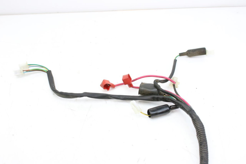 photo de CABLEADO TNT MOTOR ROMA 10' 2T 50 (2011 - 2018)