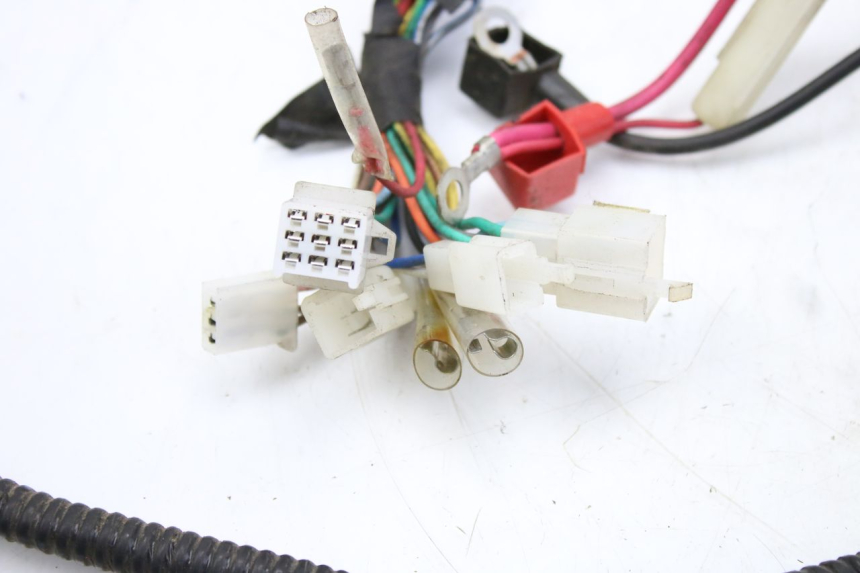 photo de CABLEADO TNT MOTOR ROMA 10' 2T 50 (2011 - 2018)