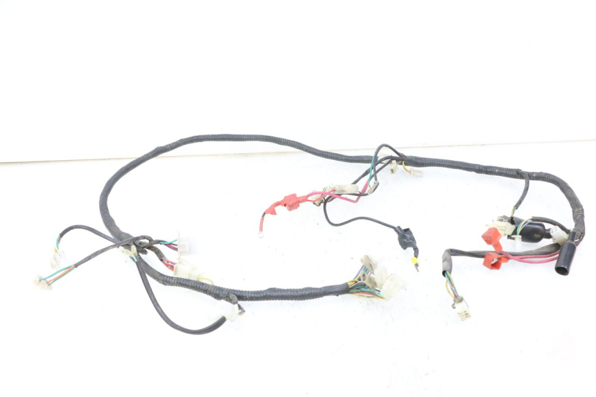 photo de CABLEADO TNT MOTOR ROMA 10' 2T 50 (2011 - 2018)