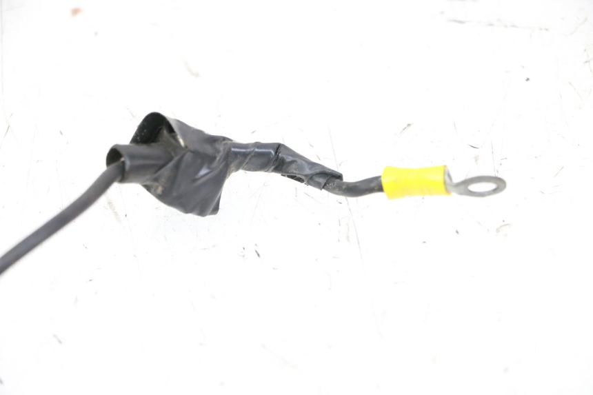 photo de CABLEADO TNT MOTOR ROMA 10' 2T 50 (2011 - 2018)