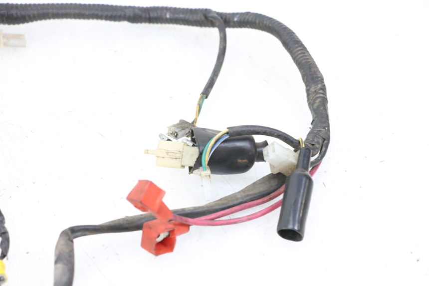 photo de CABLEADO TNT MOTOR ROMA 10' 2T 50 (2011 - 2018)