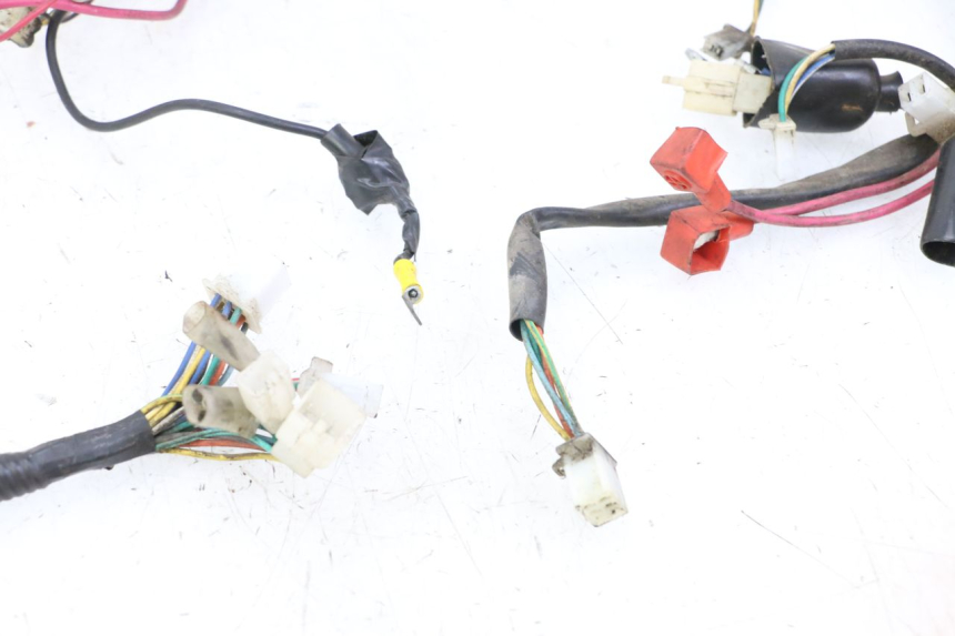 photo de CABLEADO TNT MOTOR ROMA 10' 2T 50 (2011 - 2018)