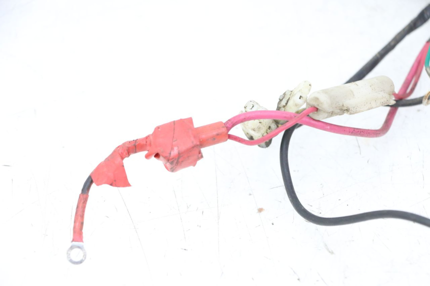 photo de CABLEADO TNT MOTOR ROMA 10' 2T 50 (2011 - 2018)