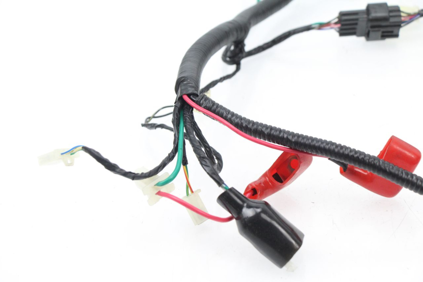 photo de CABLEADO TNT MOTOR ROMA 10' 4T 50 (2007 - 2018) - Recambio usado revisado