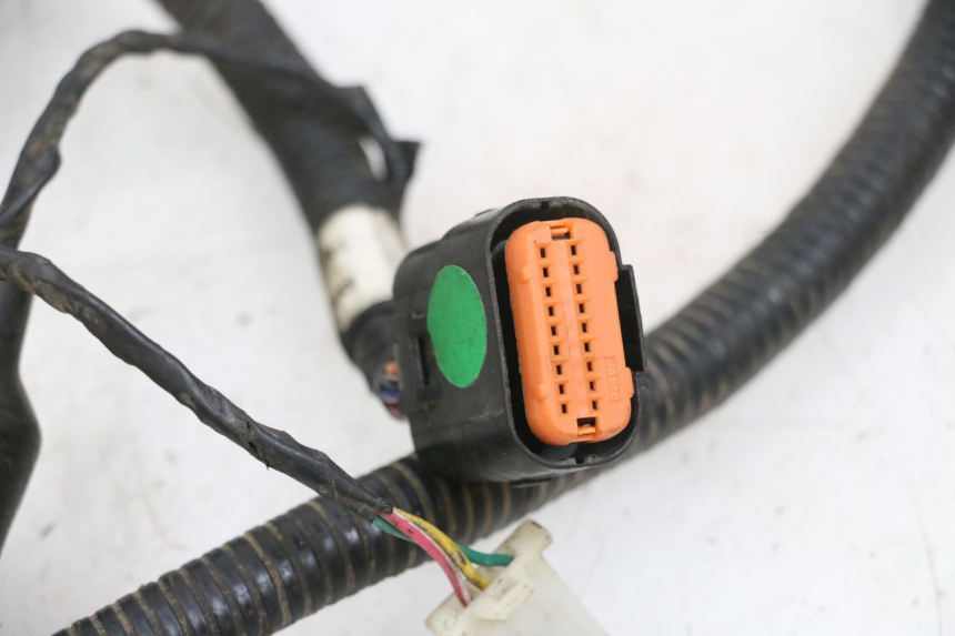 photo de CABLEADO TNT MOTOR ROMA 10' 4T 50 (2019 - 2022) - Otra perspectiva