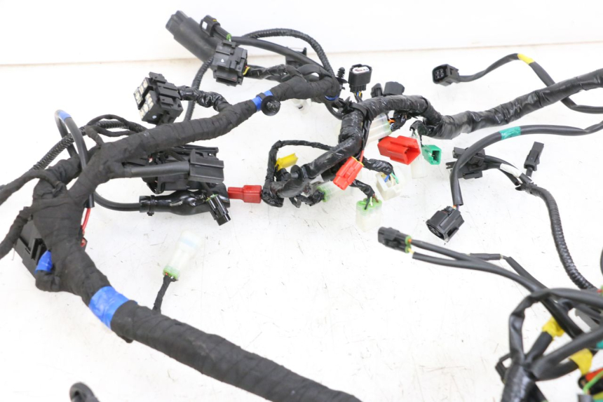 photo de CABLEADO ROYAL ENFIELD CONTINENTAL GT 650 (2019 - 2024)