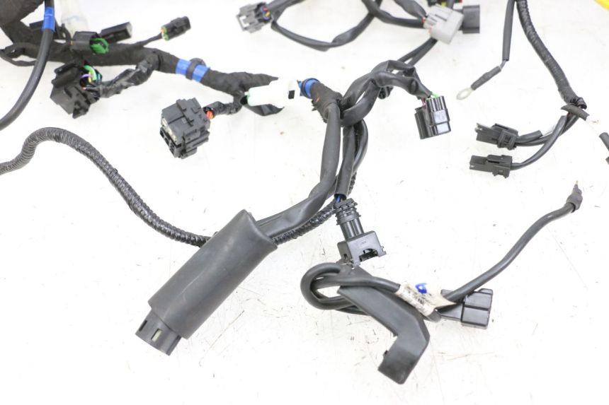 photo de CABLEADO ROYAL ENFIELD CONTINENTAL GT 650 (2019 - 2024)